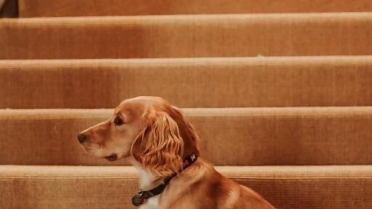 Photo of Others in Faringdon