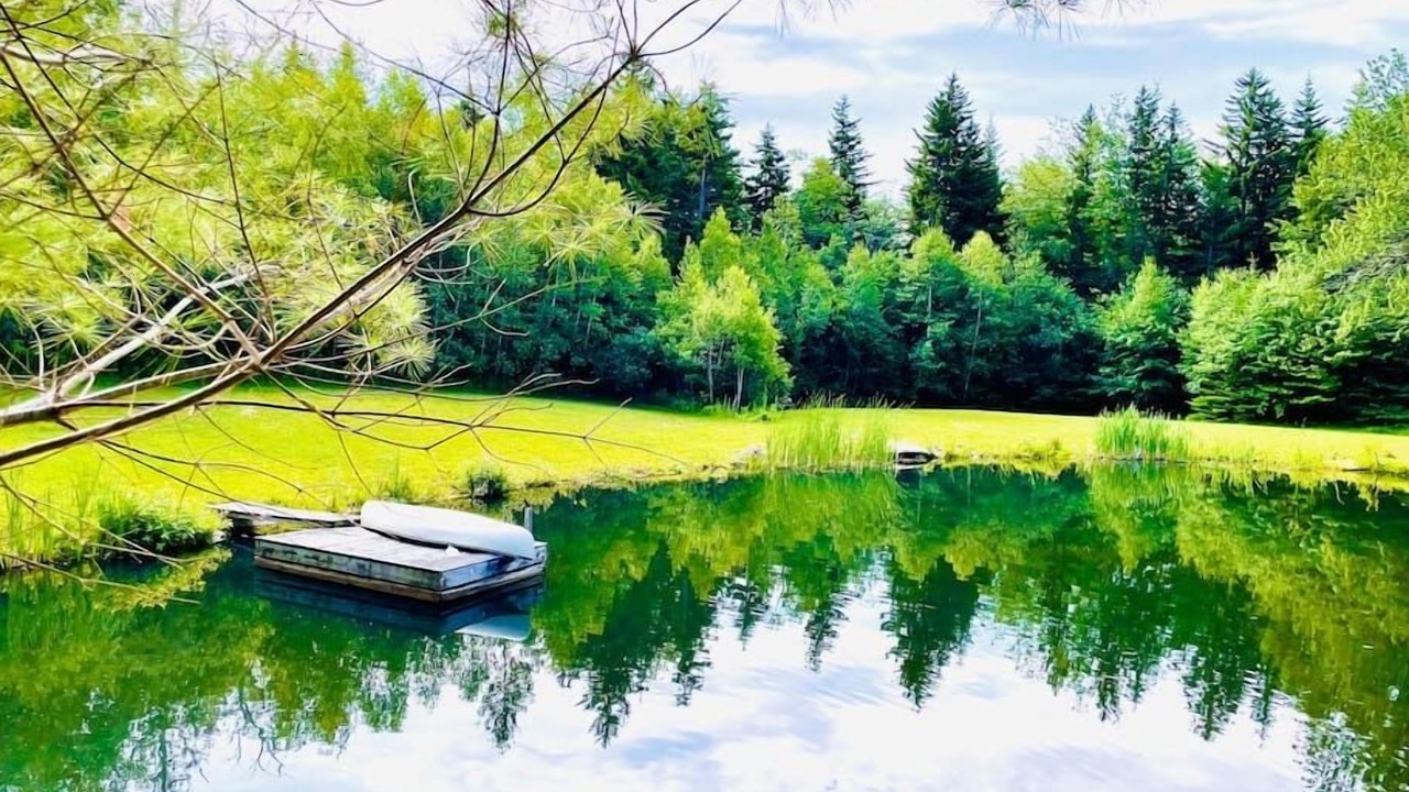 Photo of Outdoor in West Dover