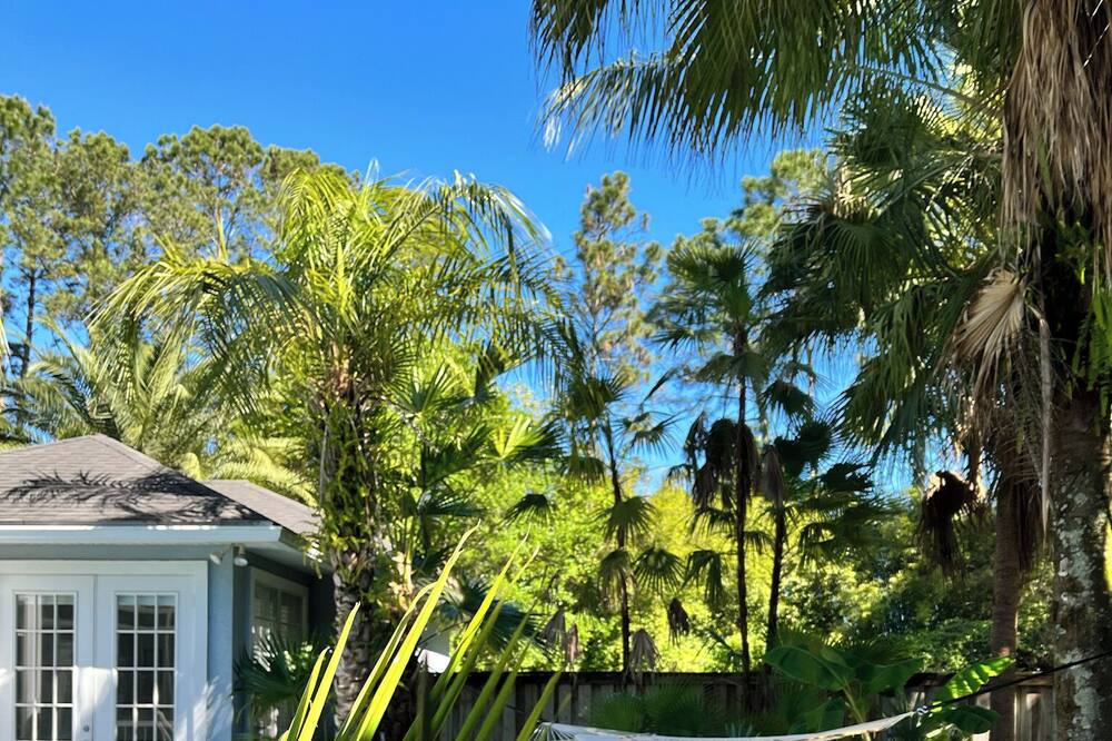 Photo of Outdoor in Mandarin