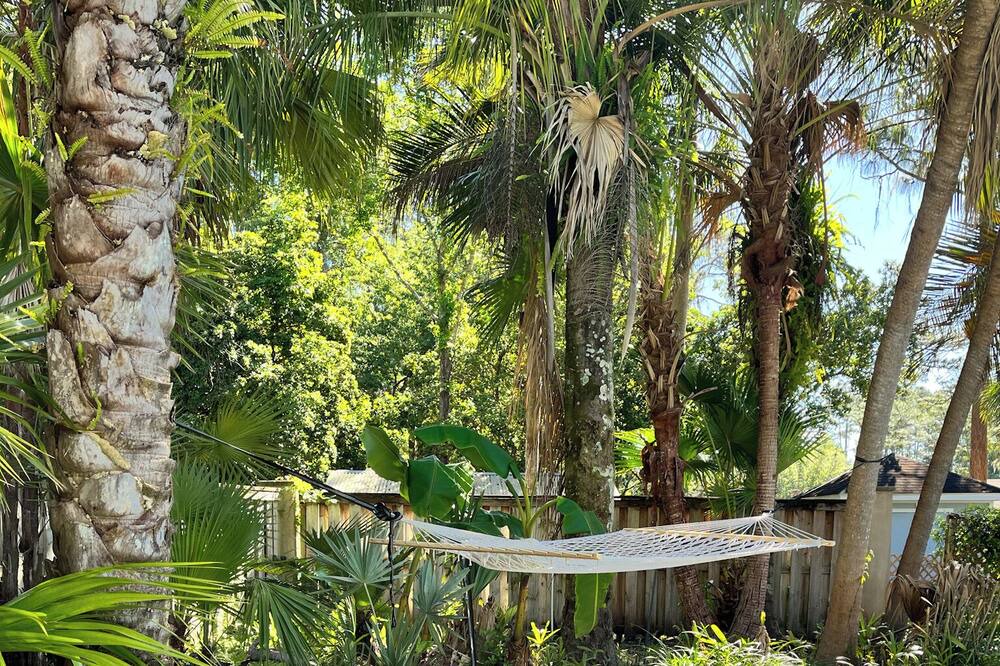 Photo of Outdoor in Mandarin