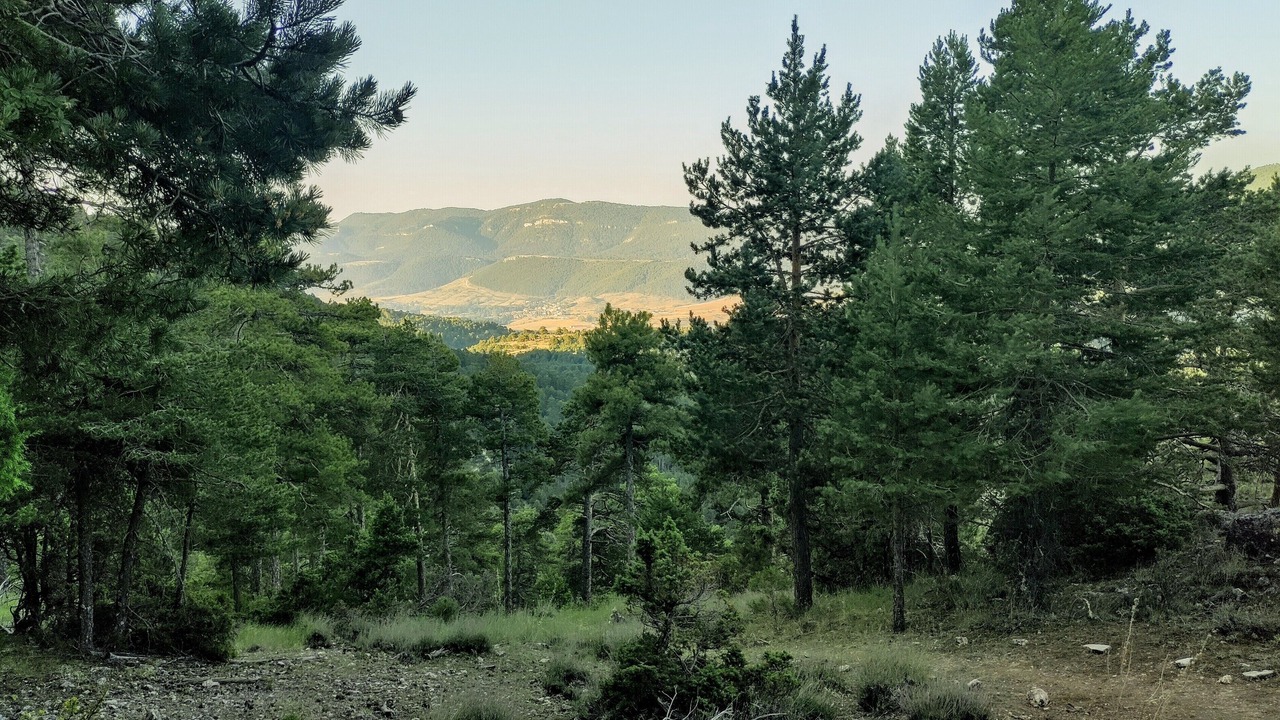 Photo of Outdoor in Tragacete