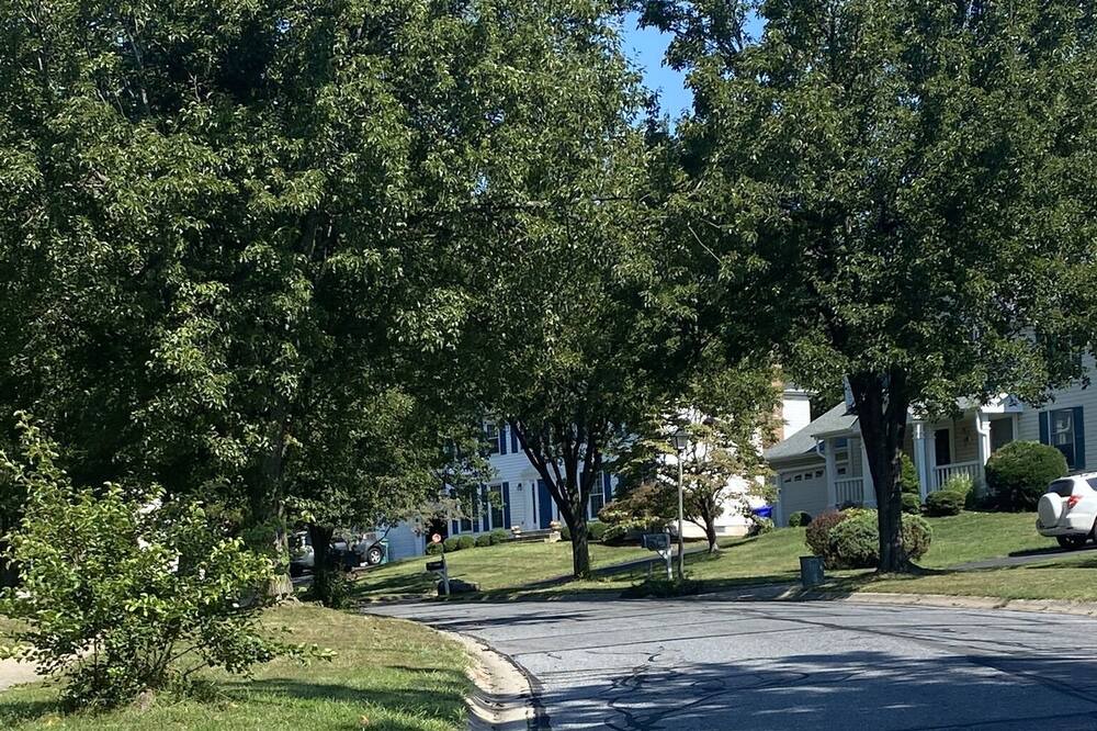 Photo of Outdoor in Germantown