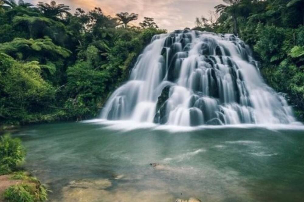 Photo of Others in Karangahake