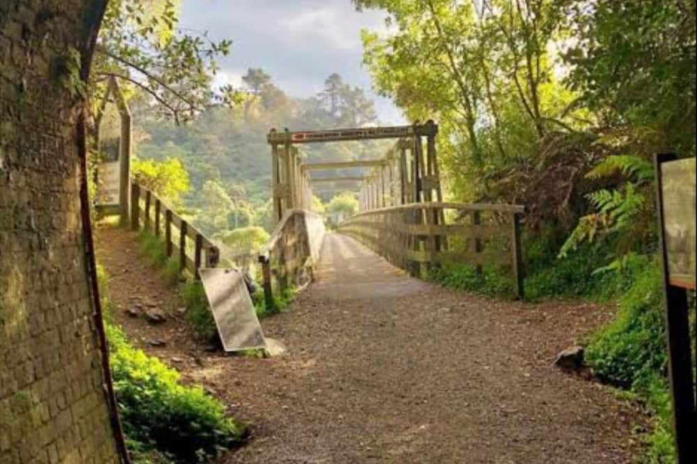 Photo of Others in Karangahake