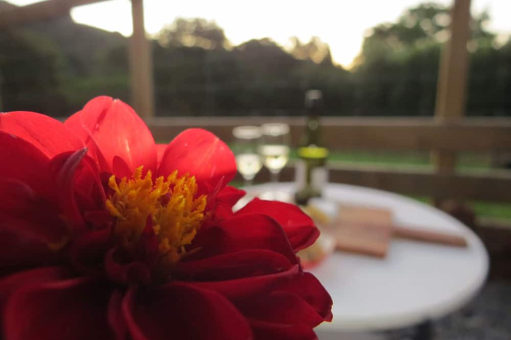 Photo of Others in Karangahake