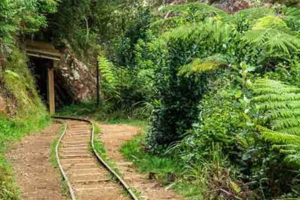 Photo of Outdoor in Karangahake