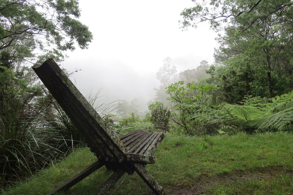 Photo of Others in Karangahake
