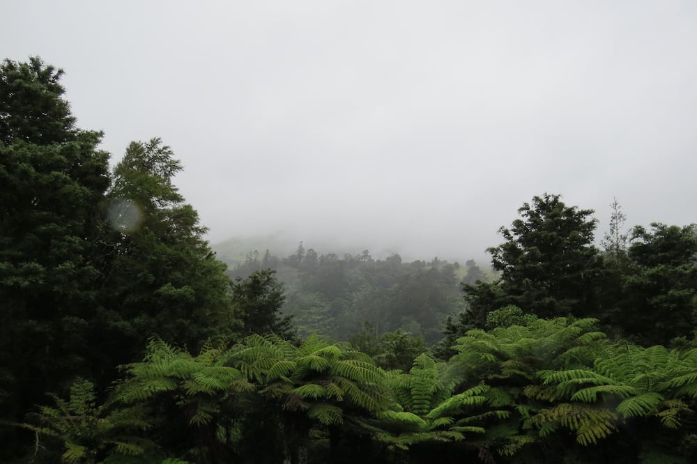 Photo of Others in Karangahake