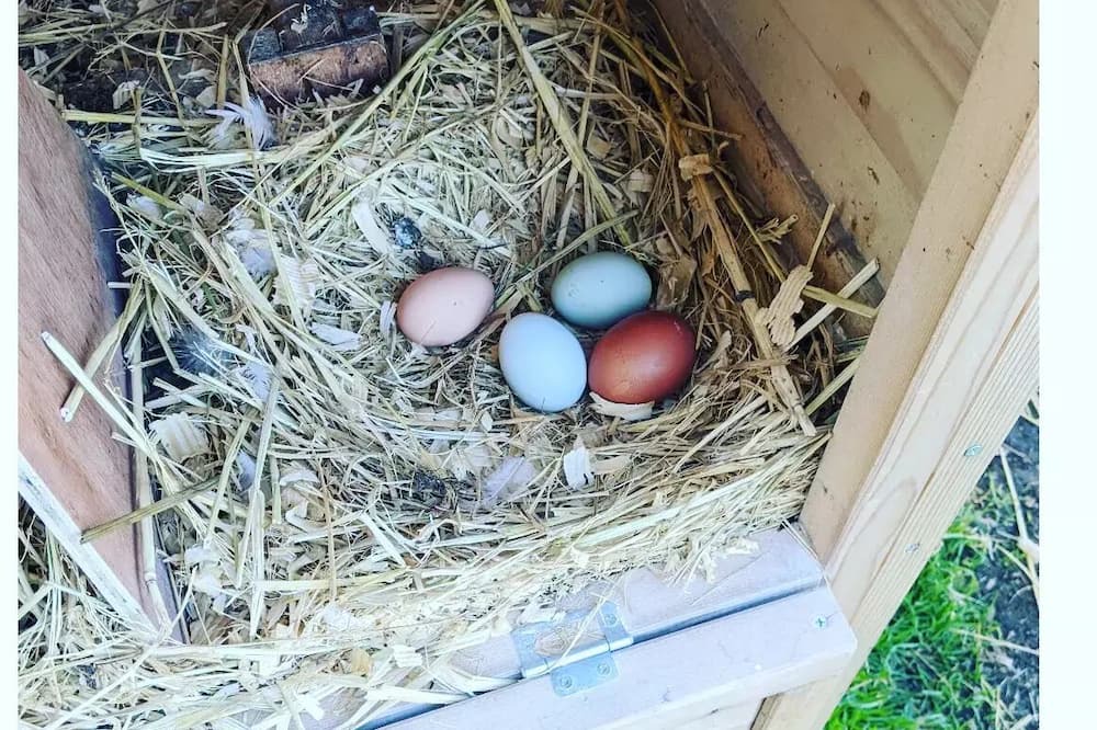 Photo of Others in Hollister