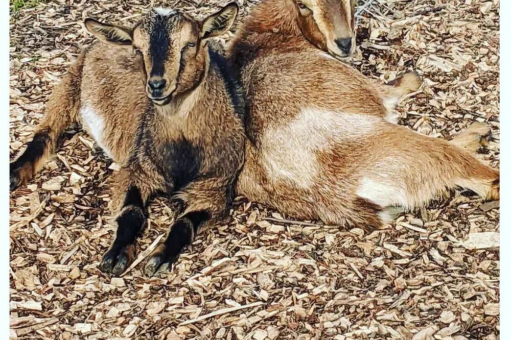 Photo of Others in Hollister