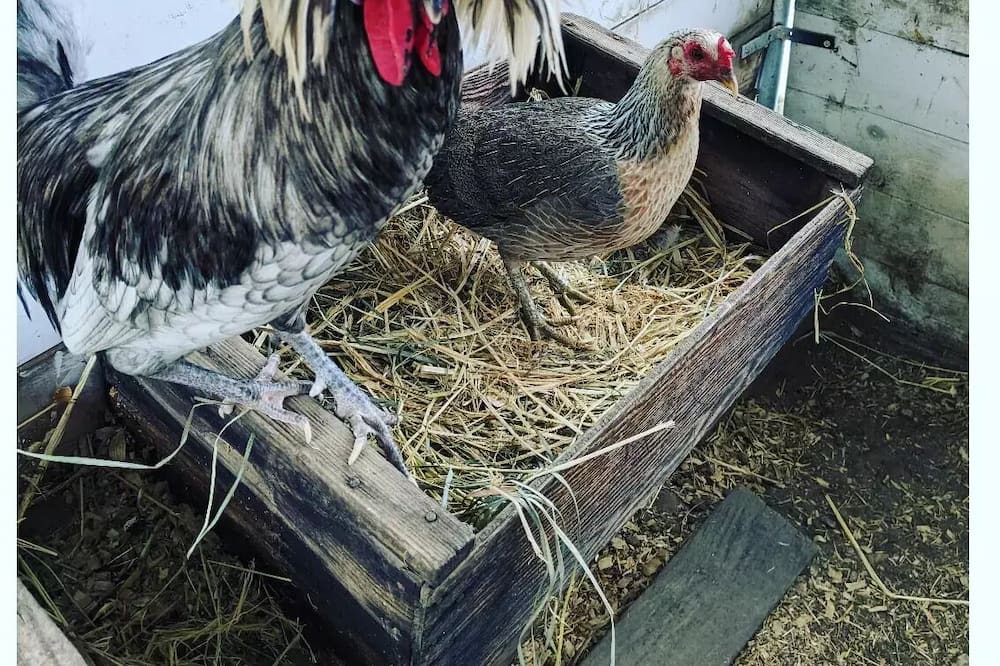 Photo of Outdoor in Hollister