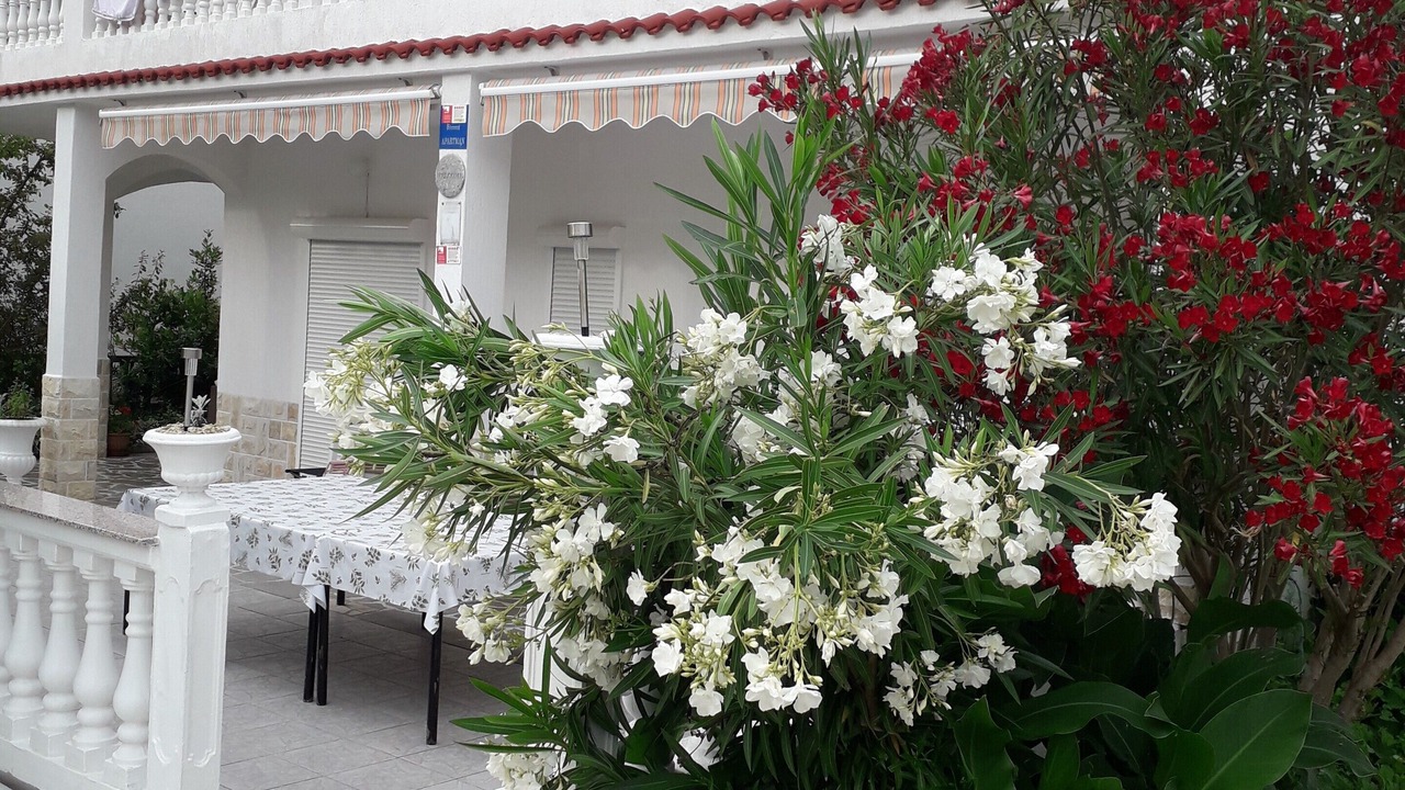 Photo of Outdoor in Palit