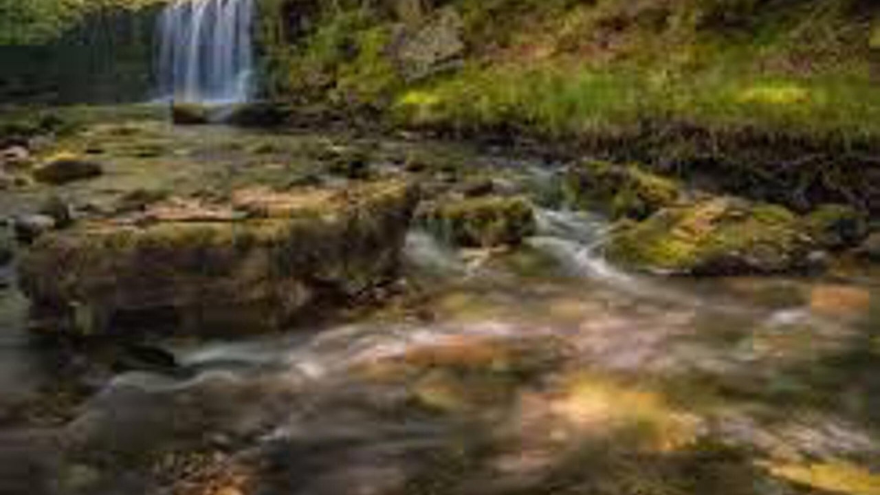 Photo of Others in Merthyr Tydfil