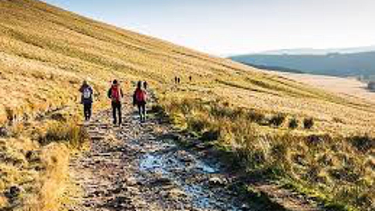 Photo of Others in Merthyr Tydfil