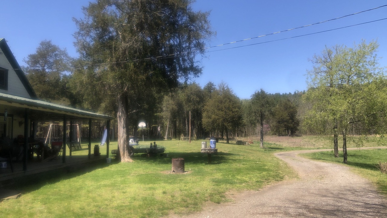 Photo of Outdoor in Ozone