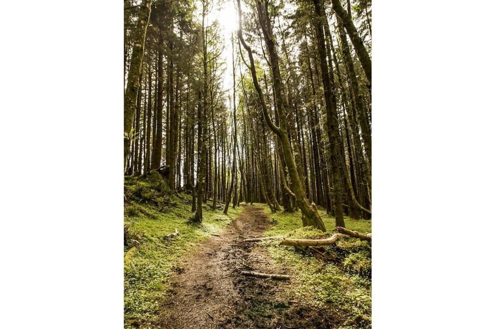 Photo of Outdoor in Angelica