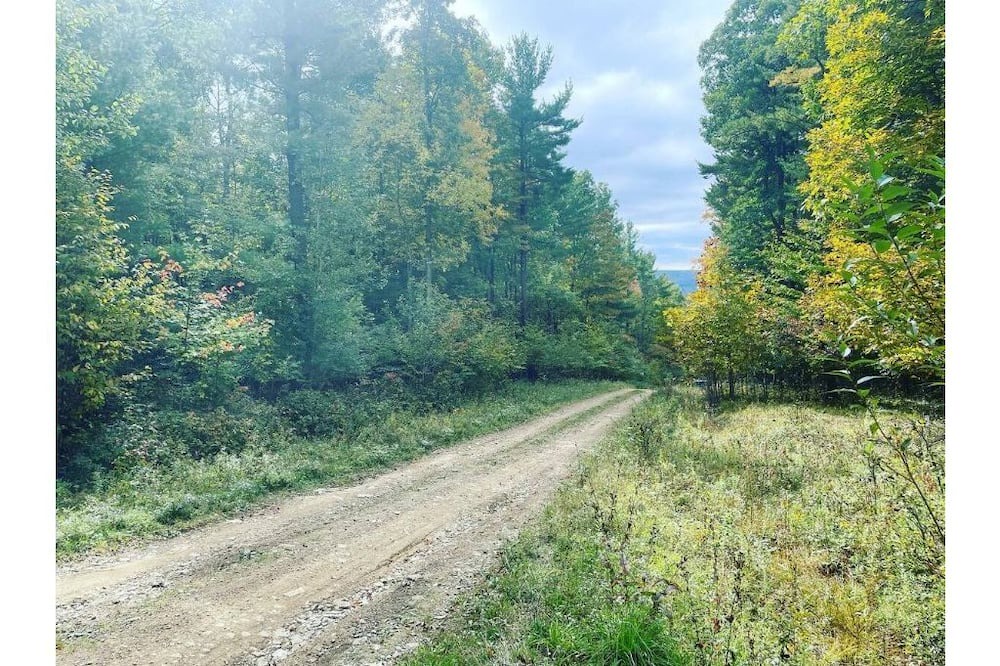 Photo of Outdoor in Angelica