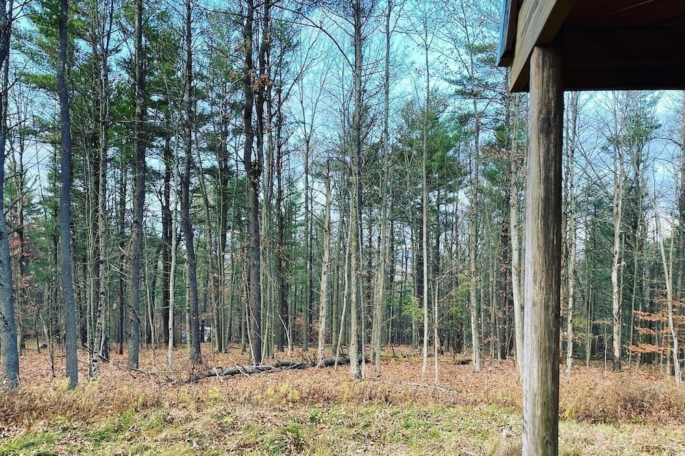 Photo of Others in Angelica