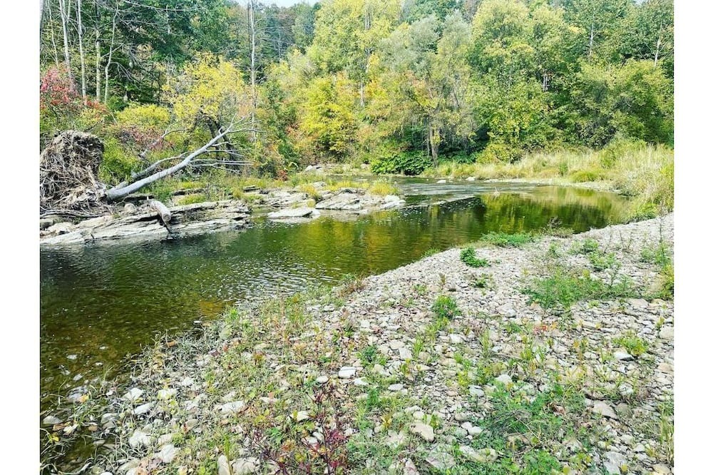 Photo of Others in Angelica