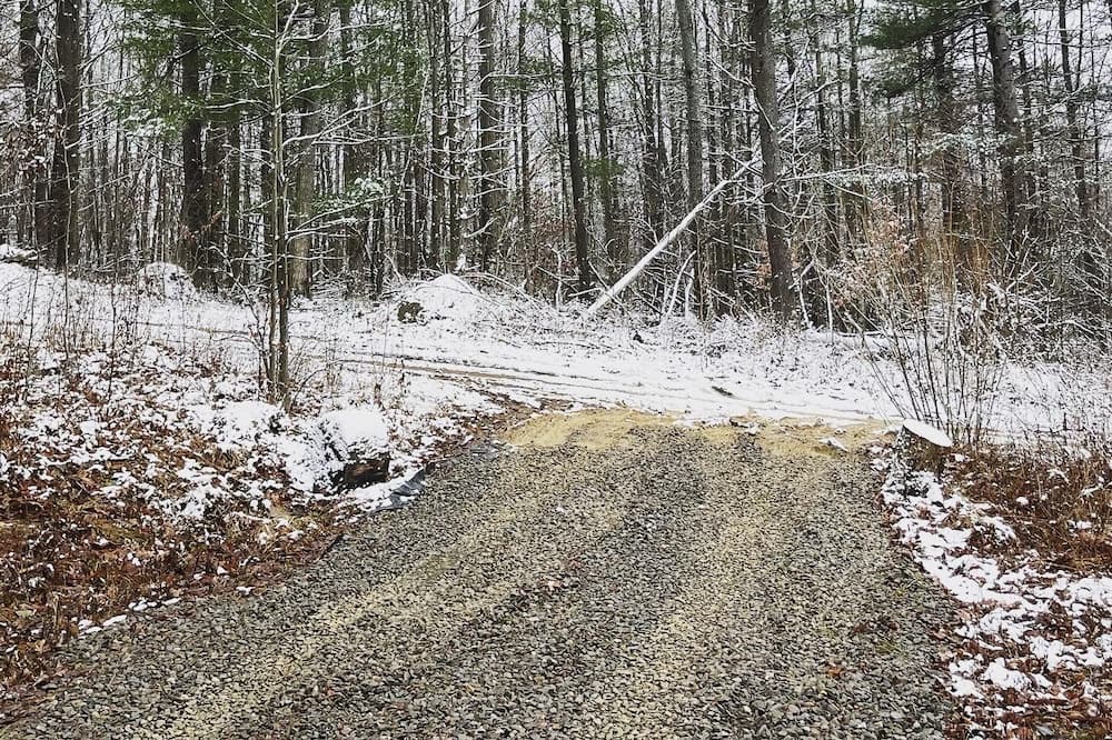 Photo of Others in Angelica