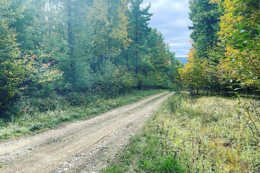 Photo of Outdoor in Angelica