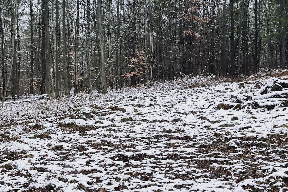 Photo of Others in Angelica