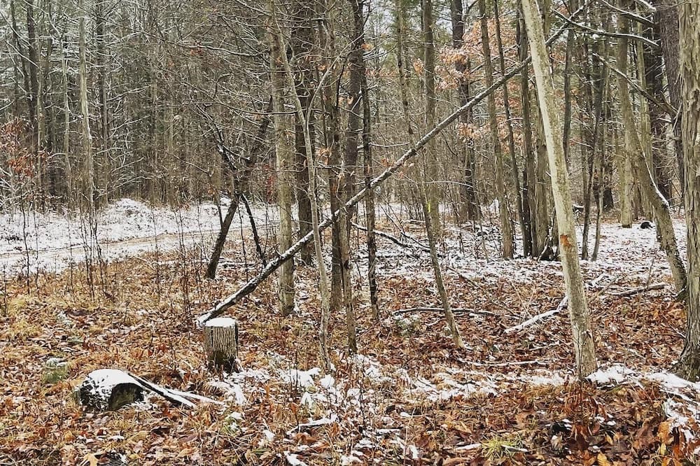 Photo of Others in Angelica