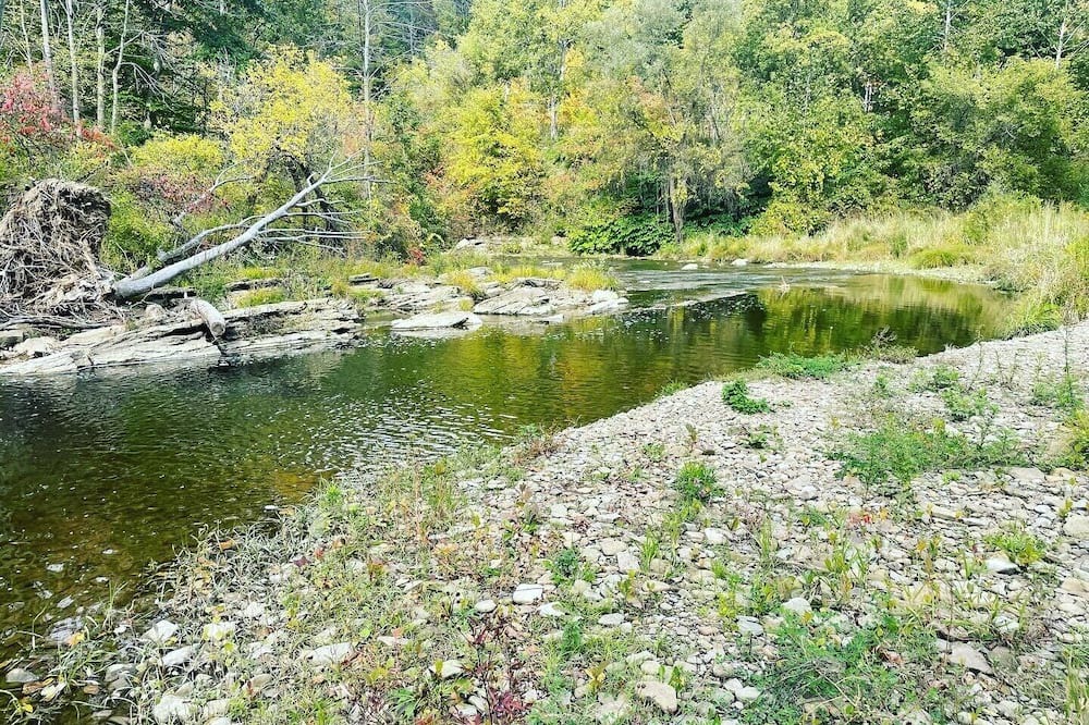 Photo of Others in Angelica