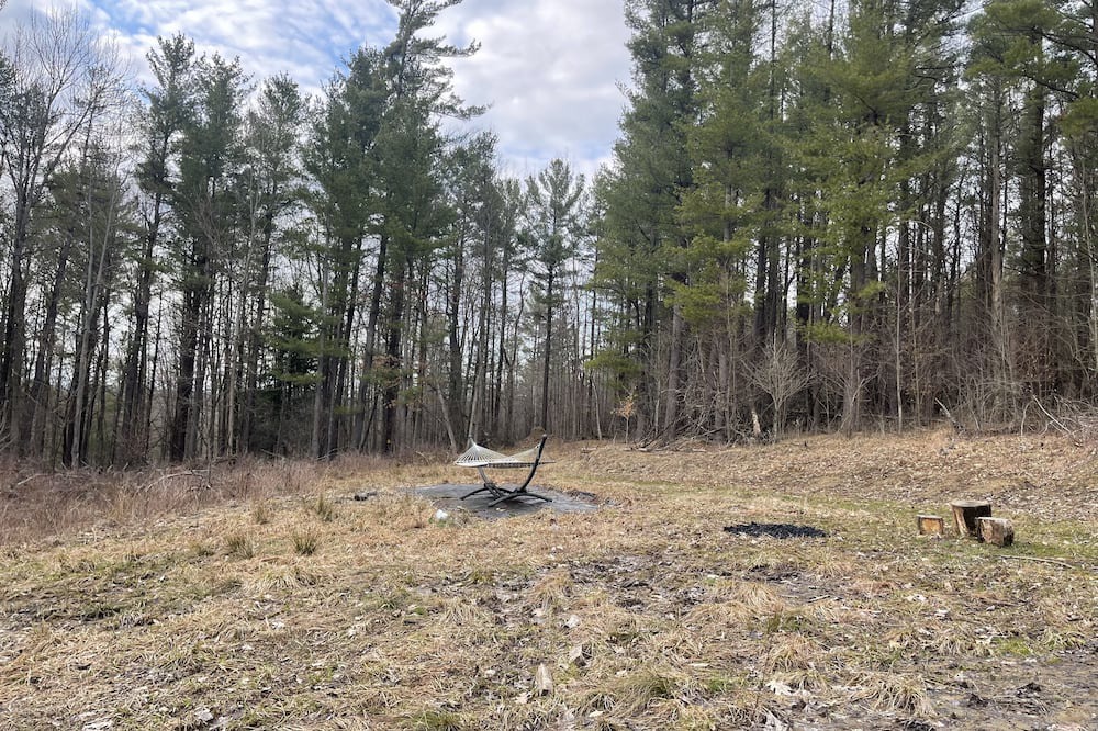 Photo of Others in Angelica