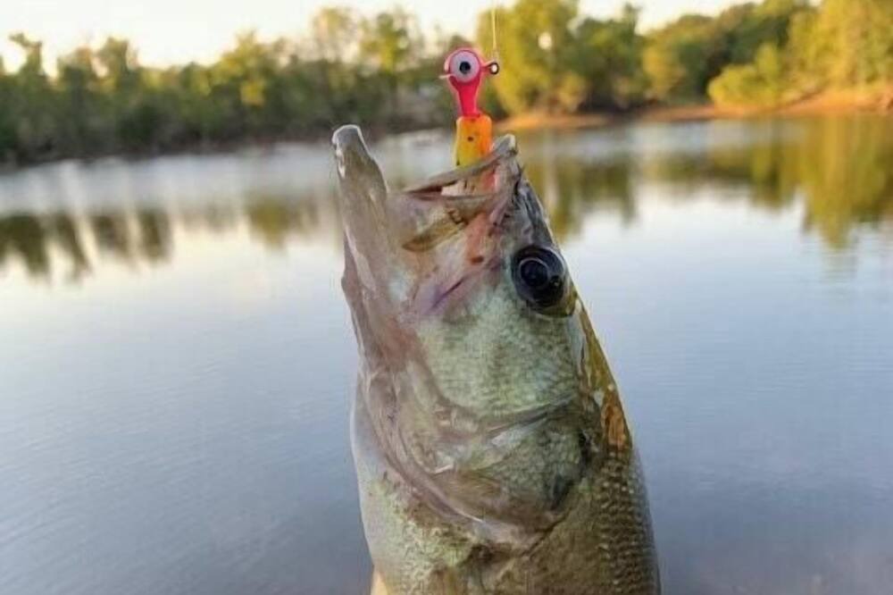 Photo of Others in Lincoln County