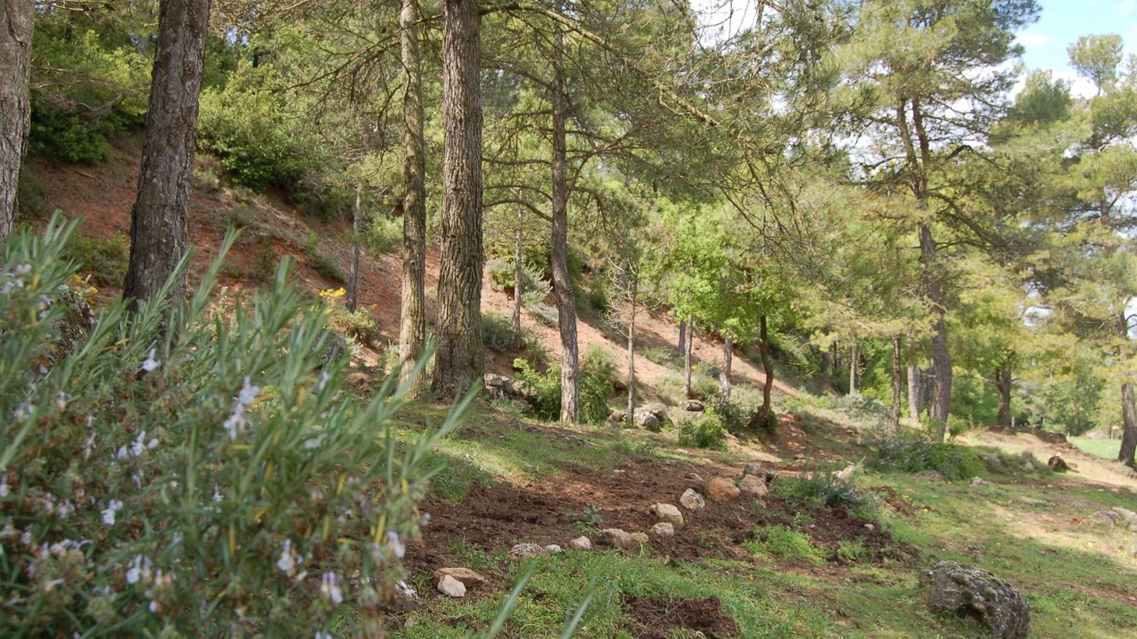 Photo of Outdoor in Bellprat