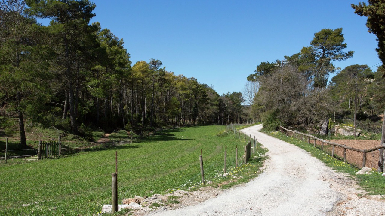 Photo of Outdoor in Bellprat