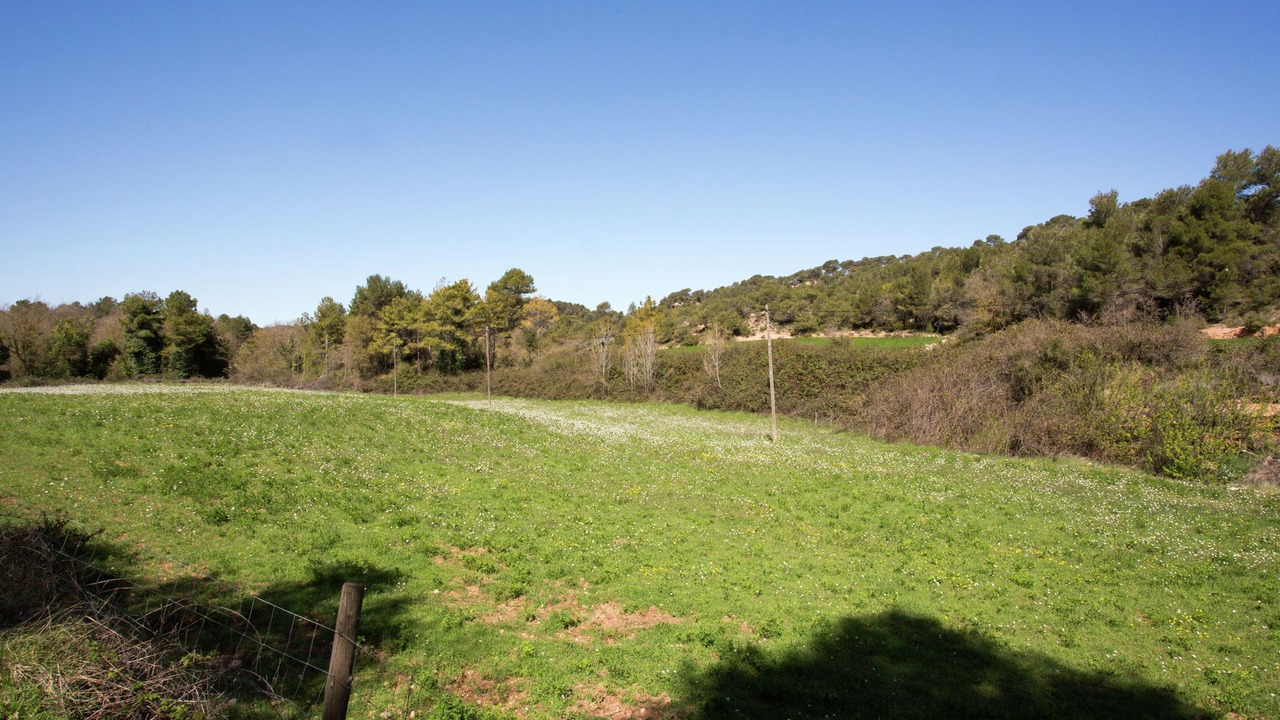 Photo of Outdoor in Bellprat
