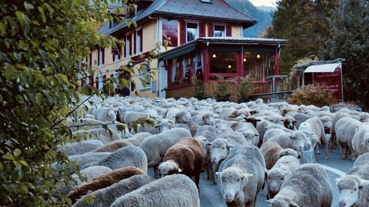 Photo of Outdoor in Saint-Pierre-de-Chartreuse