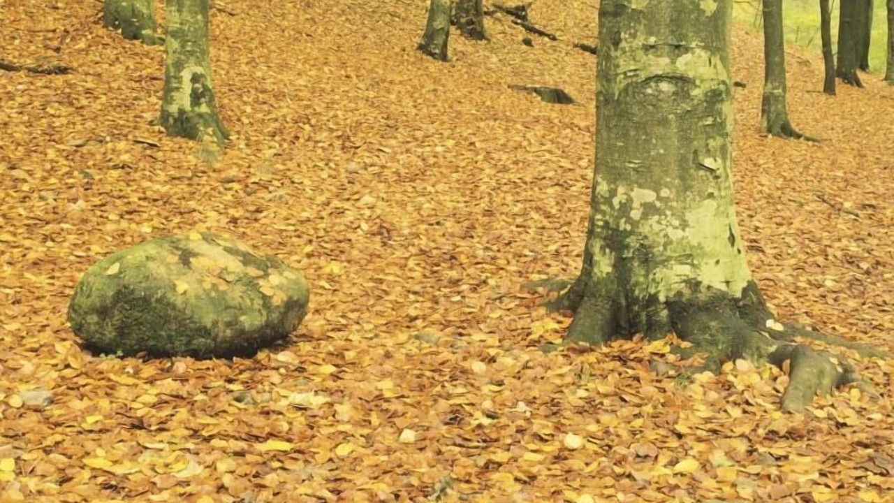 Photo of Outdoor in Hawkshead