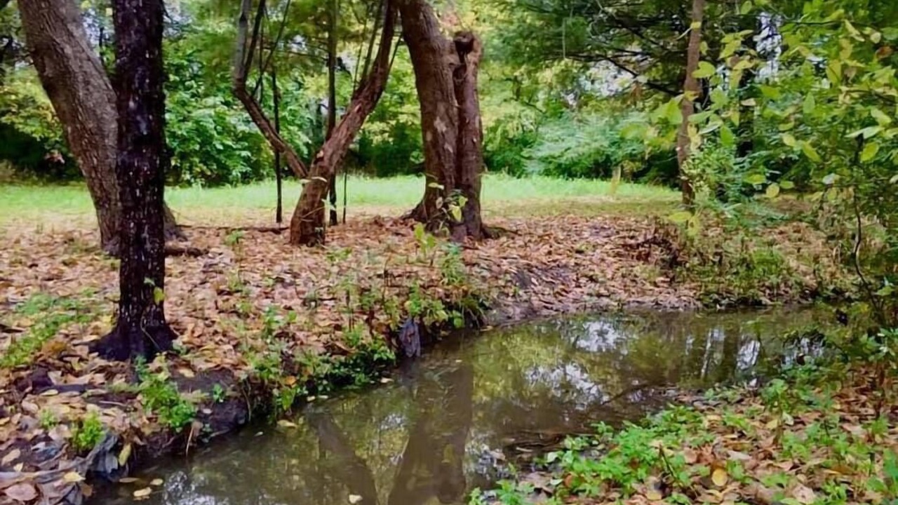 Photo of Outdoor in Bonham