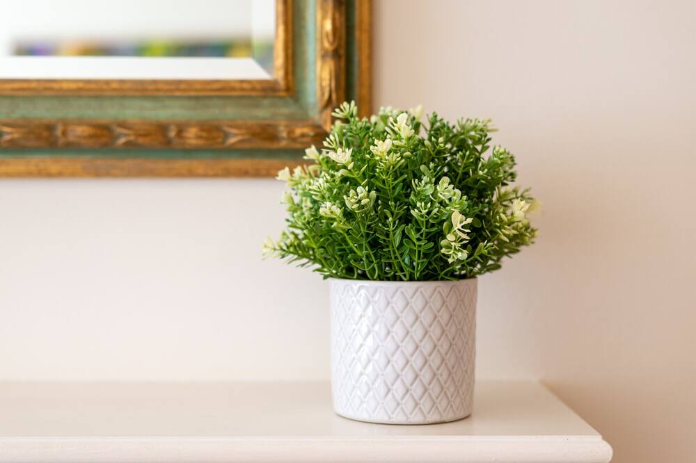 Photo of Others in Rotherhithe