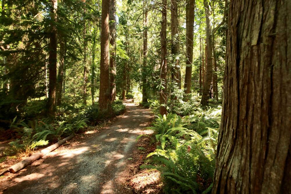 Photo of Outdoor in Whidbey Island