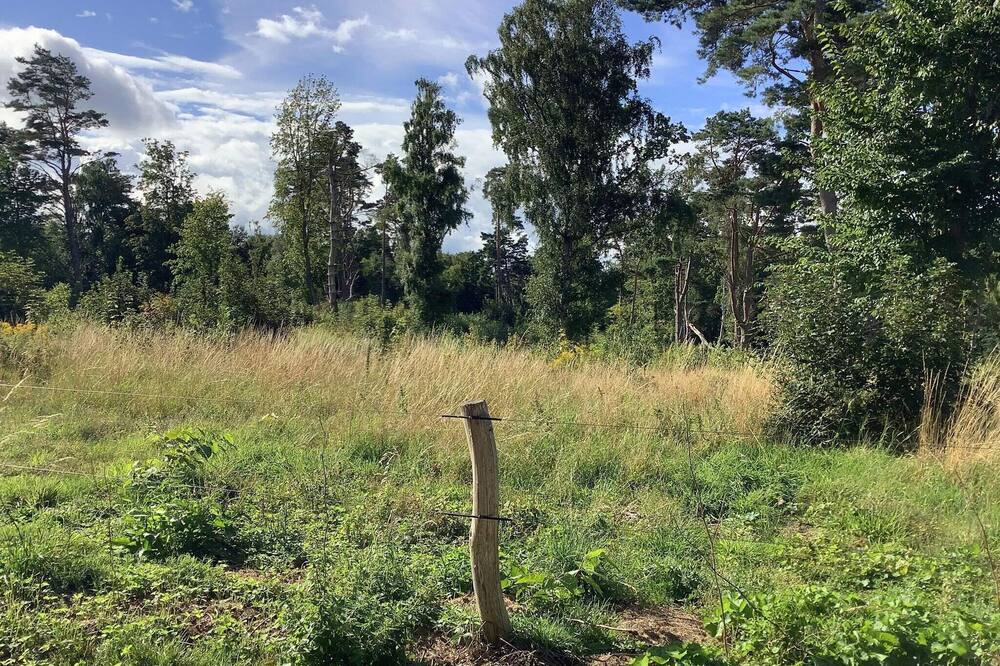 Photo of Outdoor in Tisvildeleje