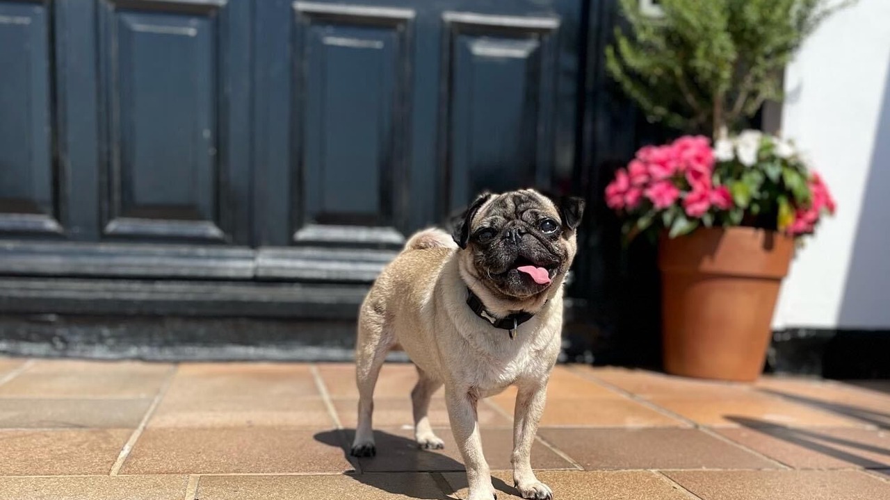 Photo of Outdoor in Sandgate