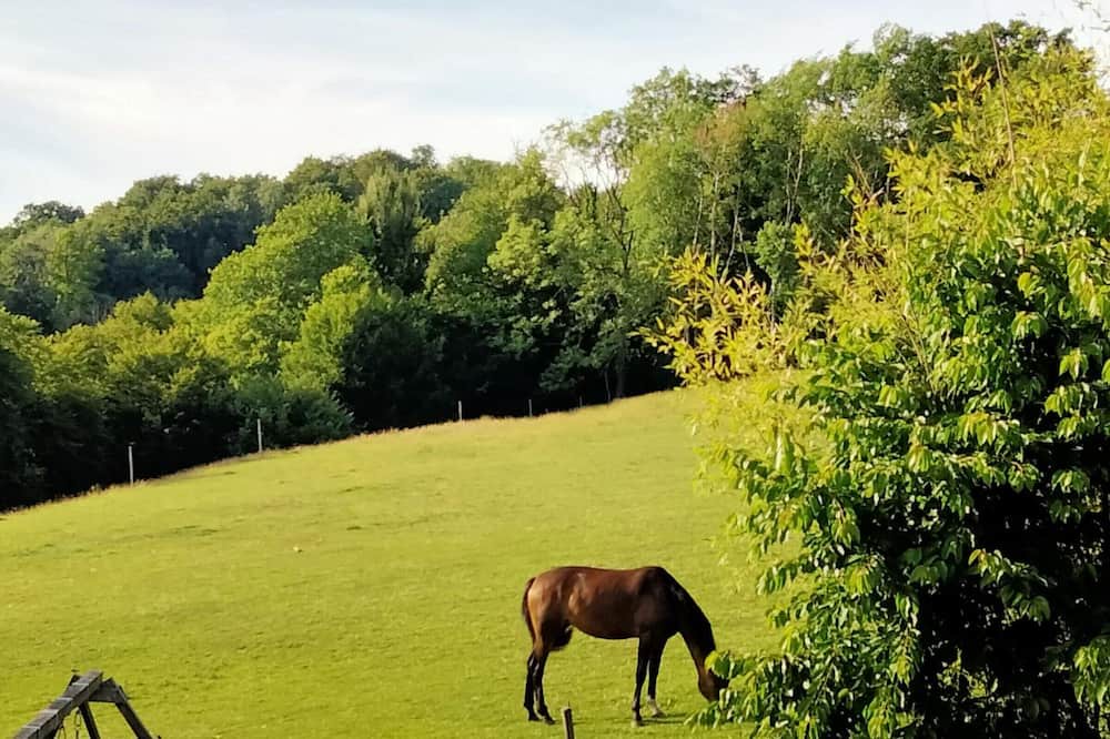 Photo of Outdoor in Saint-Maclou-de-Folleville