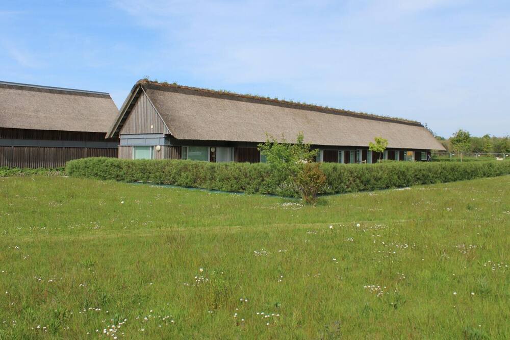 Photo of Outdoor in Paluel