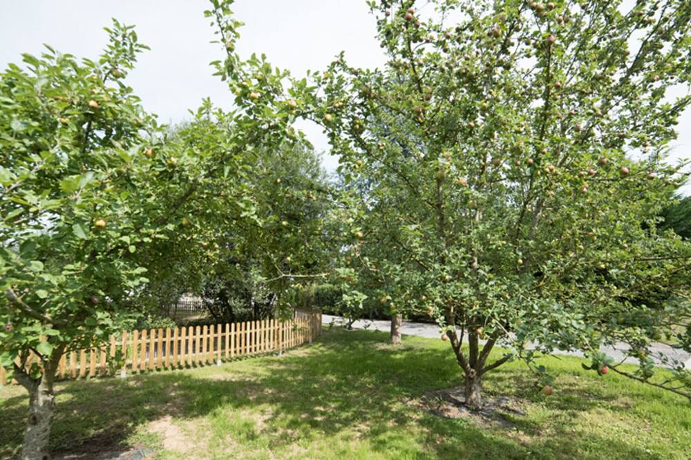 Photo of Outdoor in Neufchatel-en-Bray