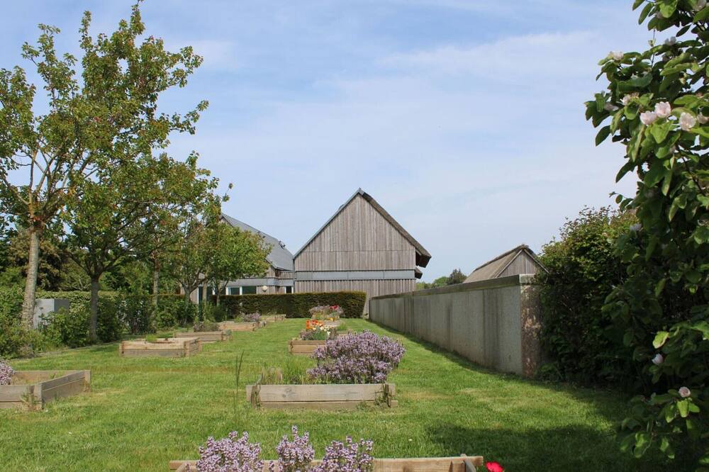 Photo of Outdoor in Paluel