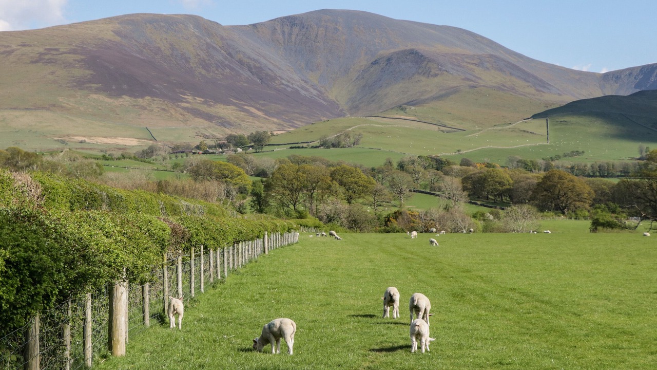 Photo of Outdoor in Borrowdale