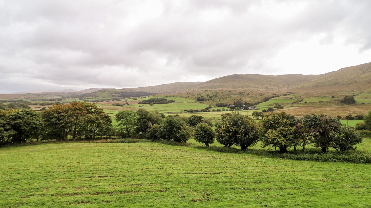 Photo of Others in Dolgellau
