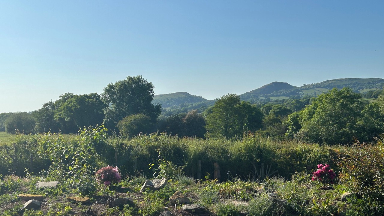 Photo of Others in Hyssington