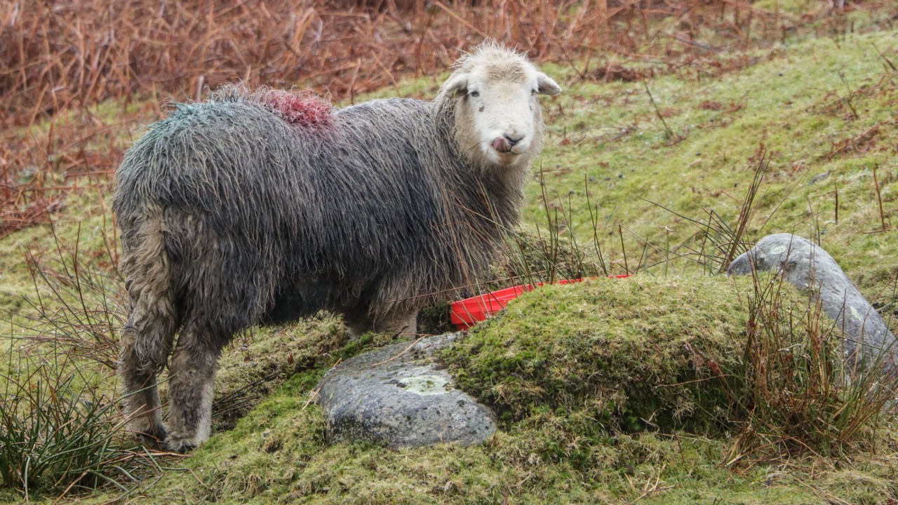 Photo of Outdoor in Kendal
