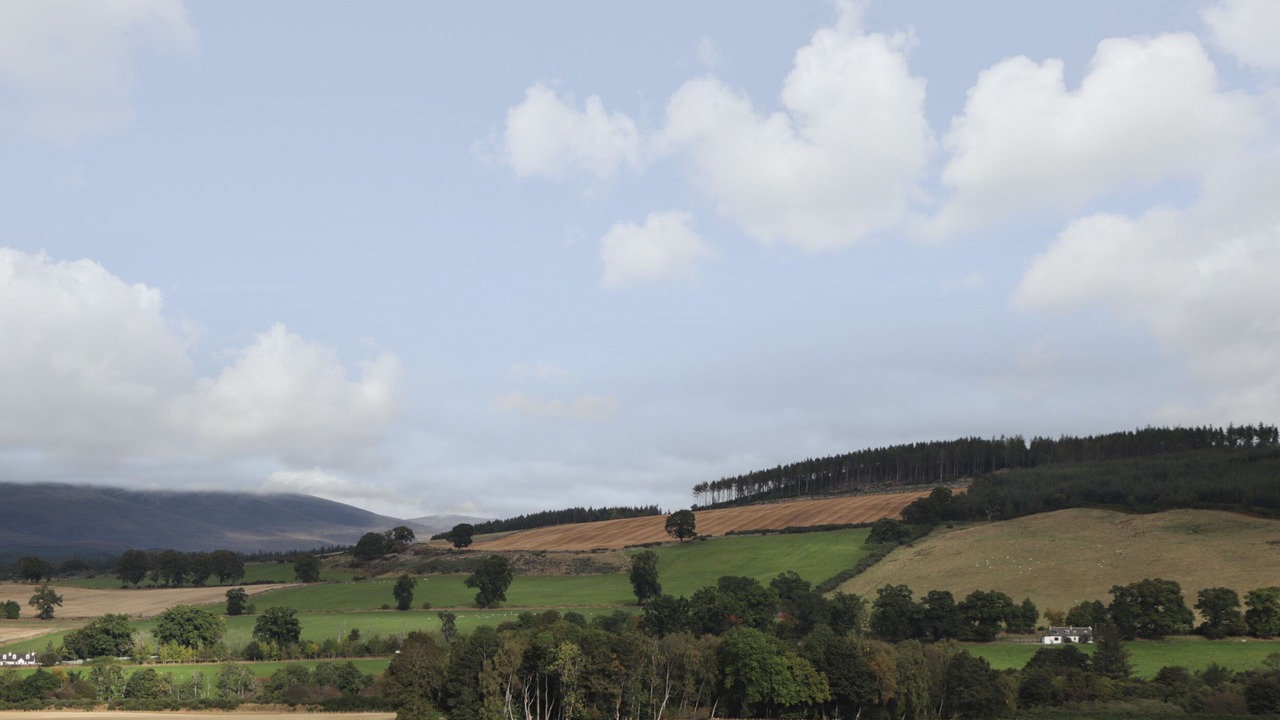 Photo of Others in Jamestown