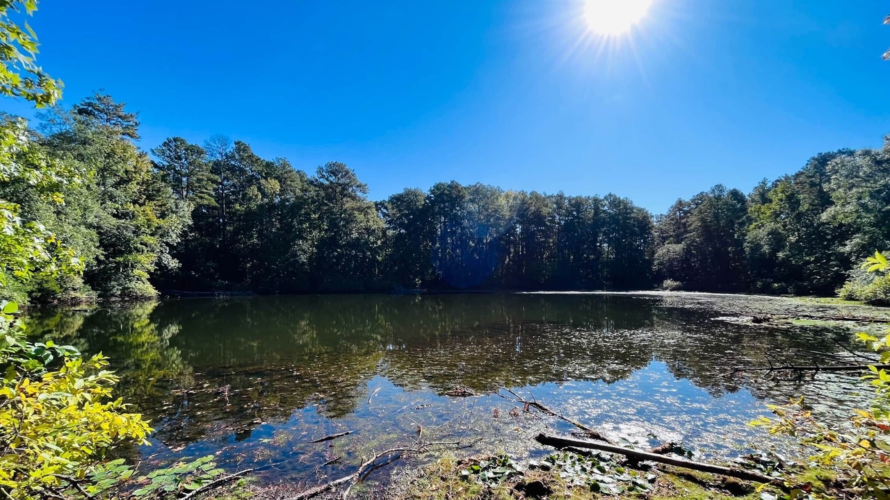 Photo of Outdoor in Livingston